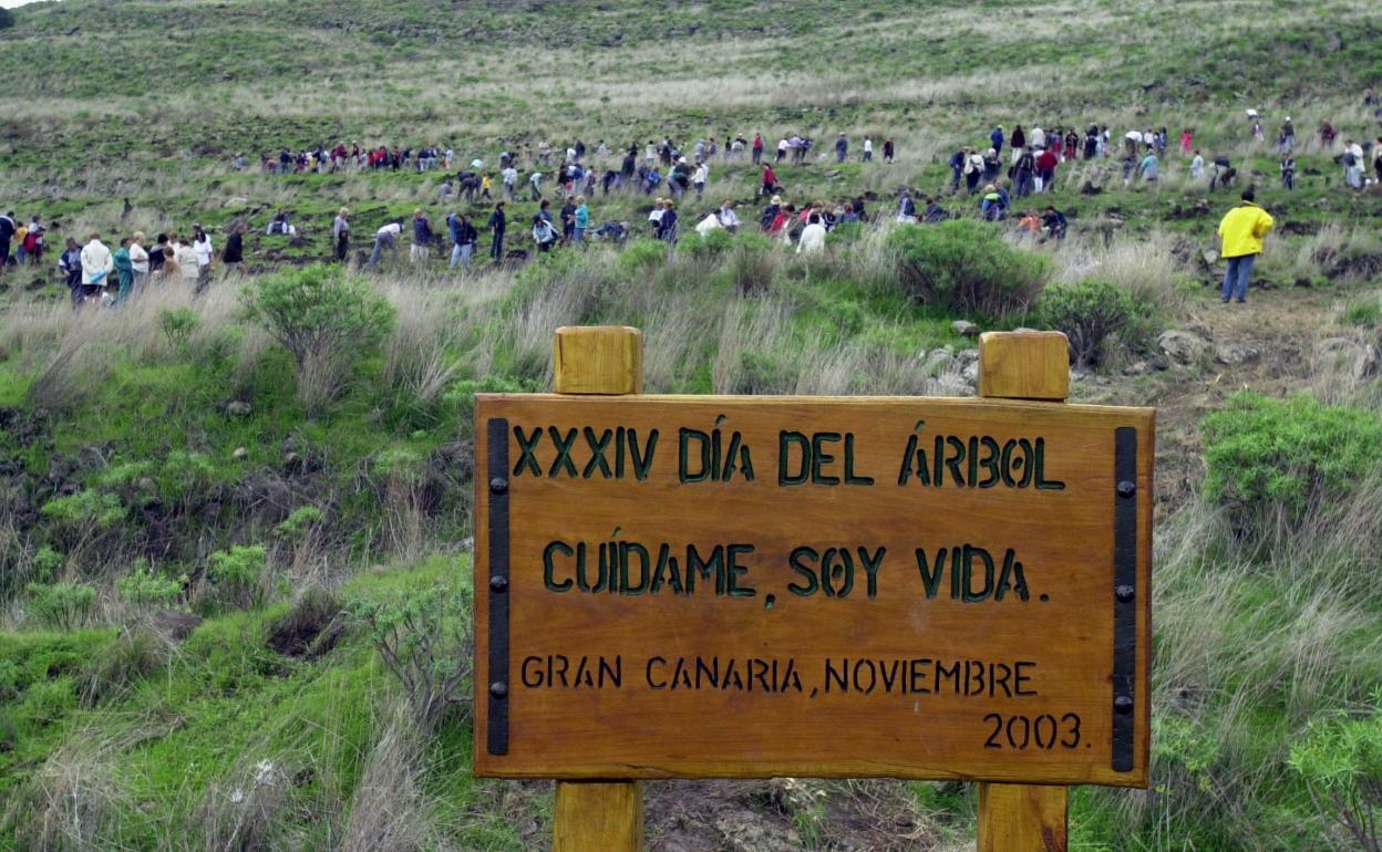 Coincidiendo con celebraciones como la del Día del Árbol se celebran acciones de protección ambiental. 