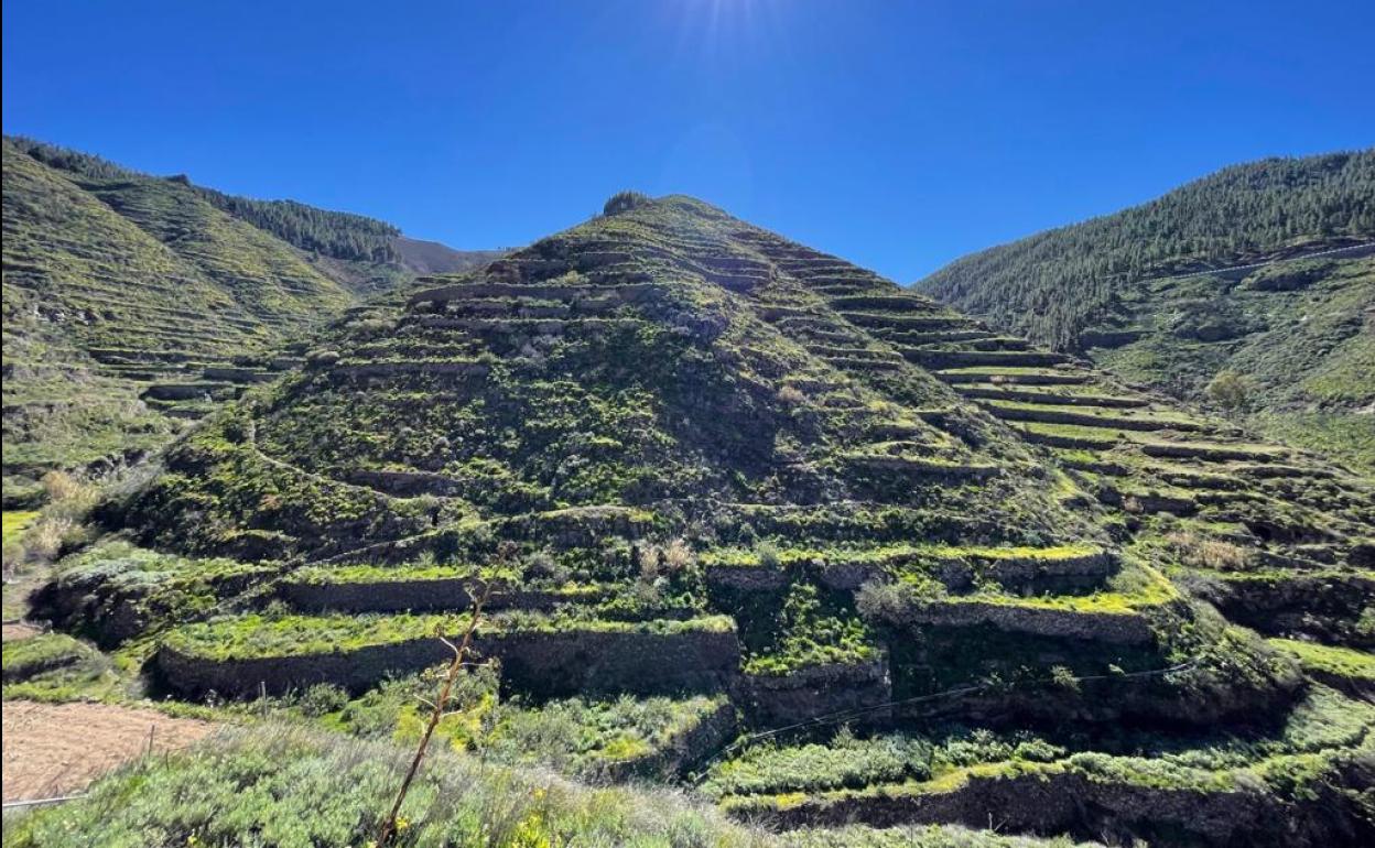 Paisaje de Barranco Hondo. 