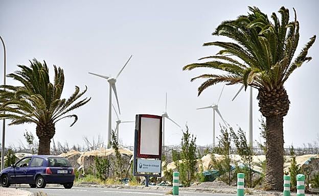 Calor, calima, viento y oleaje en Canarias