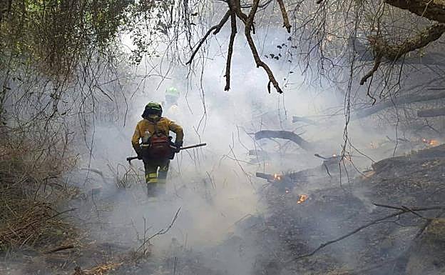 Bomberos del Infoca, en los trabajos de extinción en la zona afectada. 