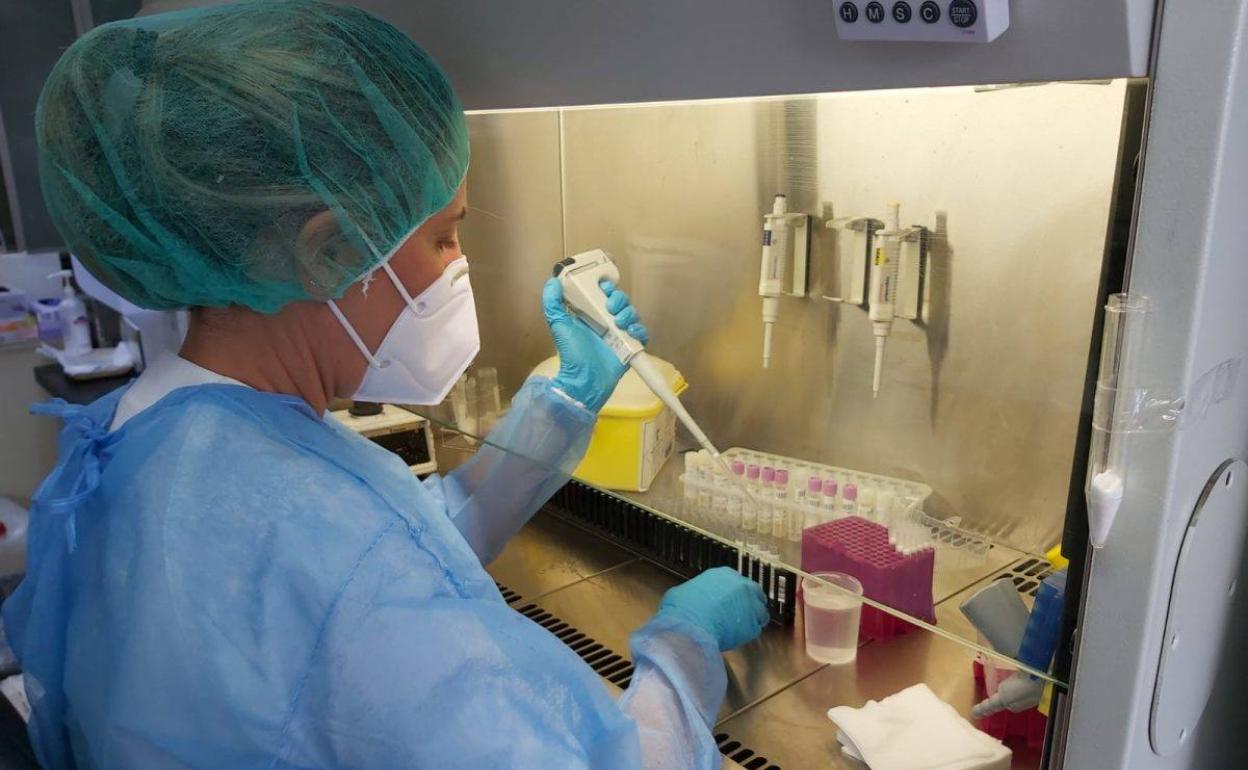 Sanidad confirma un nuevo caso de viruela del mono en Canarias