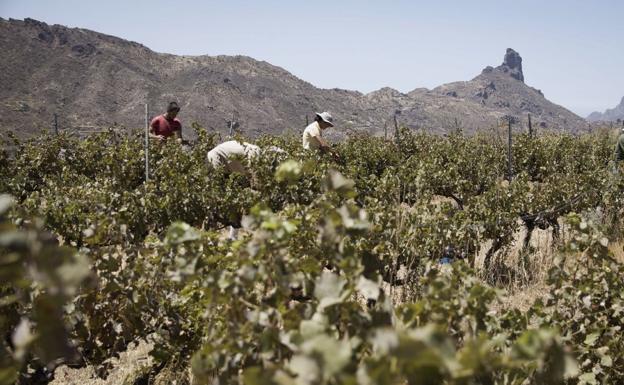 Actividad agraria en las cumbres, parte de la Reserva de la Biosfera. 