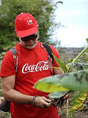 Imagen principal - Algunos empleados de la compañía trabajando el terreno.