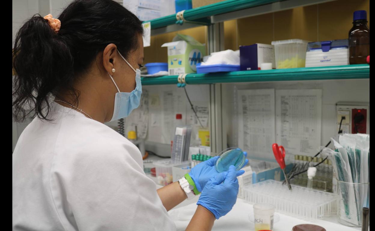 Canarias suma dos casos nuevos en estudio de viruela del mono