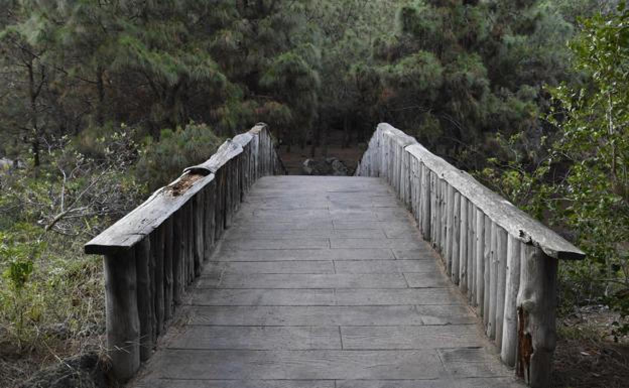 El Jardín Canario, nombrado en honor del naturalista canario José Viera y Clavijo. 