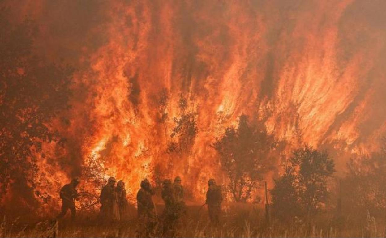 Los bomberos pelean contra las llamas en el término municipal de Pumarejo.
