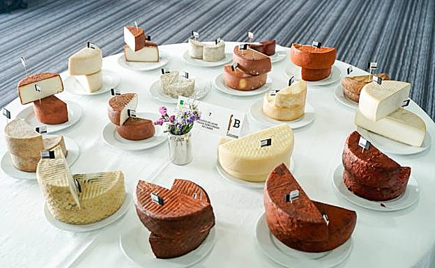 190 quesos compiten por convertirse en el 'Mejor Queso de Canarias'
