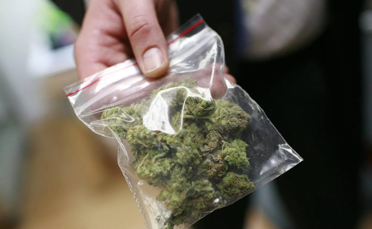 Una bolsa con cannabis medicinal.