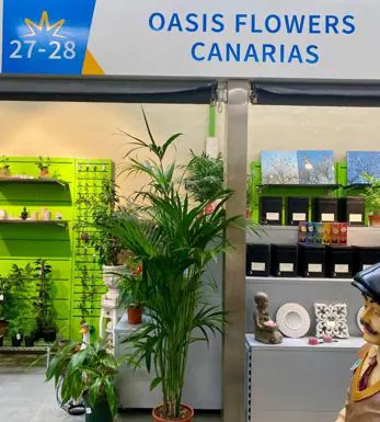 Oasis Flower Canarias. Mercado de Guía
