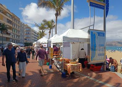 Imagen secundaria 1 - Diferentes puestos en la feria 'Canteras Street Market'. 