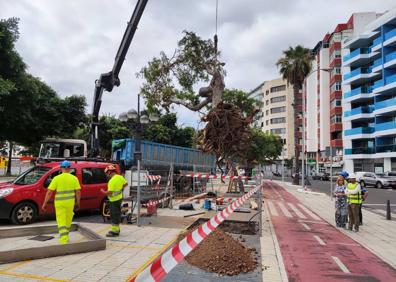 Imagen secundaria 1 - Más imágenes de la obra. 