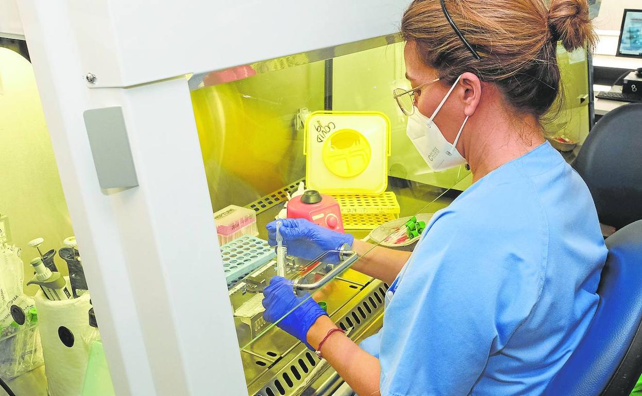 Imagen de archivo del laboratorio de microbiología del hospital Negrín donde se analizan las muestras para detectar viruela del mono. 