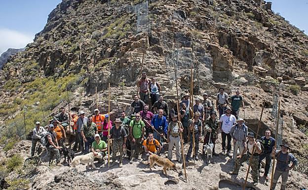 Participantes en una de las apañadas más multitudinarias celebradas en Gran Canaria. 