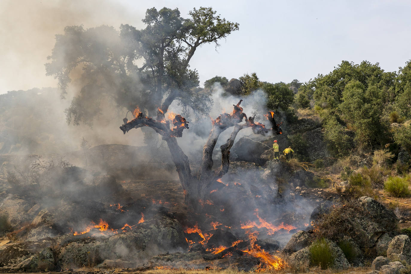 Uno de los fuegos que ha puesto en alerta Extremadura, el de Valcorchero
