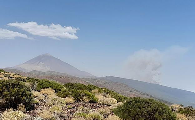 Imagen principal - Medios aéreos y terrestres combaten un conato de incendio en Los Realejos