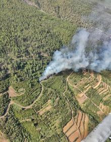 Imagen secundaria 2 - Medios aéreos y terrestres combaten un conato de incendio en Los Realejos