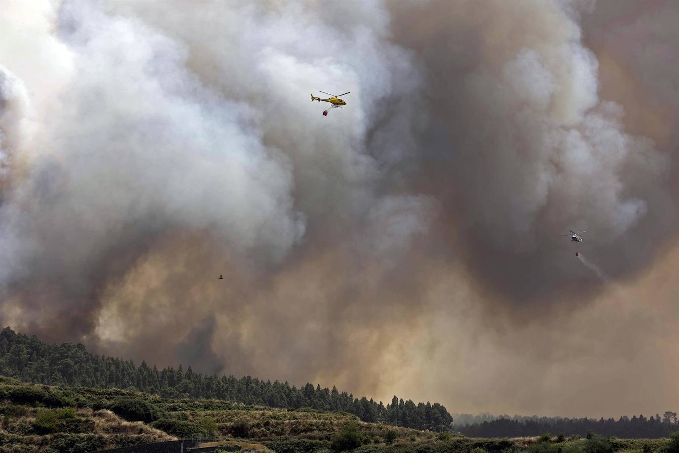 Fotos: Incendio forestal que se ha declarado en la zona de Los Campeches en Los Realejos