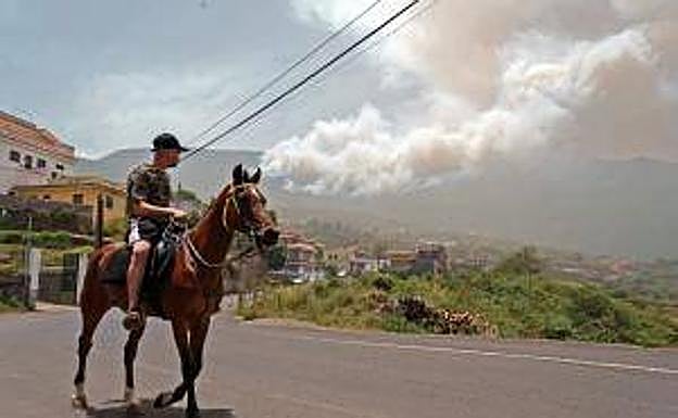 Un vecino paseo con su caballo viendo las llamas del incendio al fondo. 