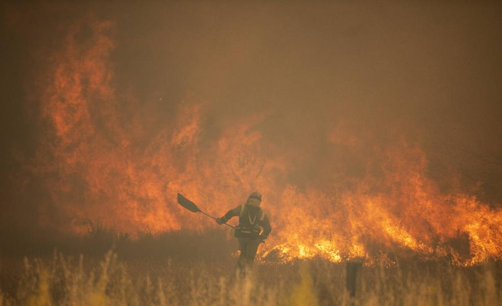 España sufre la mayor devastación por incendios forestales en lo que va de siglo