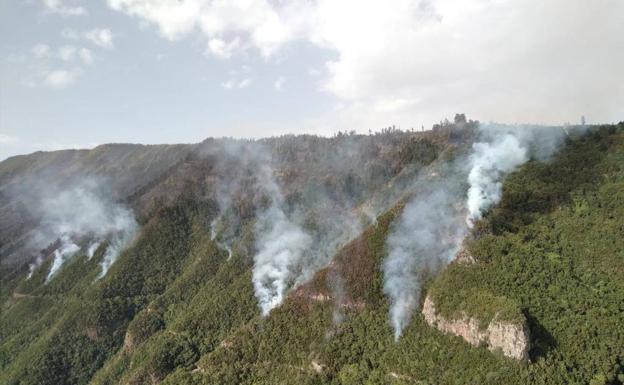 Columnas de humo provocadas por el fuego en el monte de Tenerife. 