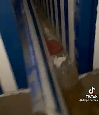 Estado de la caseta después de que el protagonista del vídeo le propinara una patada. 