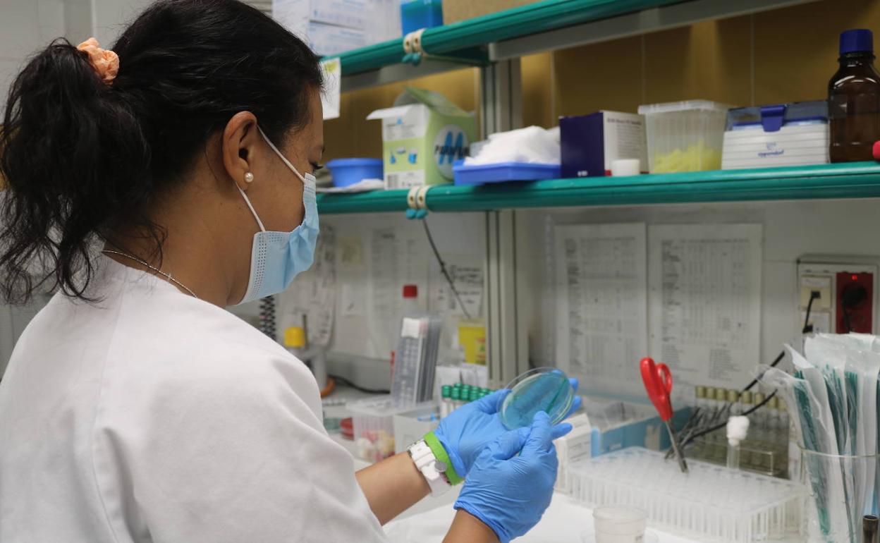 Canarias alcanza los cien casos de viruela del mono