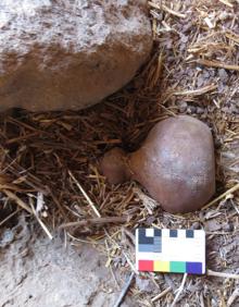 Imagen secundaria 2 - Fotos del hallazgo y del contexto en el que apareció. 