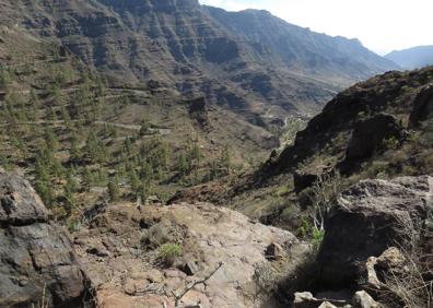 Imagen secundaria 1 - Fotos del hallazgo y del contexto en el que apareció. 