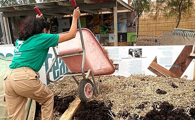 El Servicio Canario de Empleo financia el PETE. 