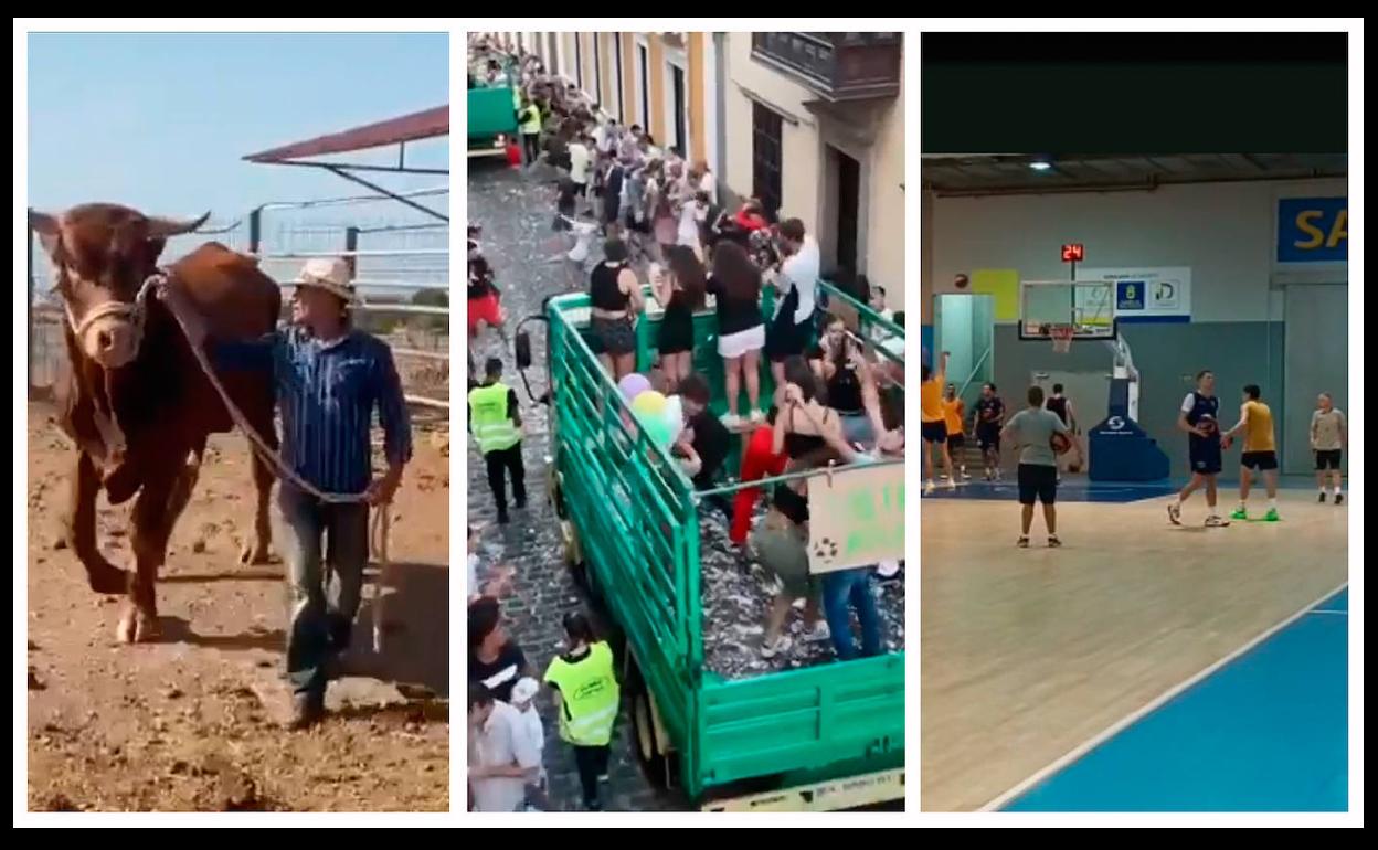 Los vídeos más destacados de este martes 15 de agosto