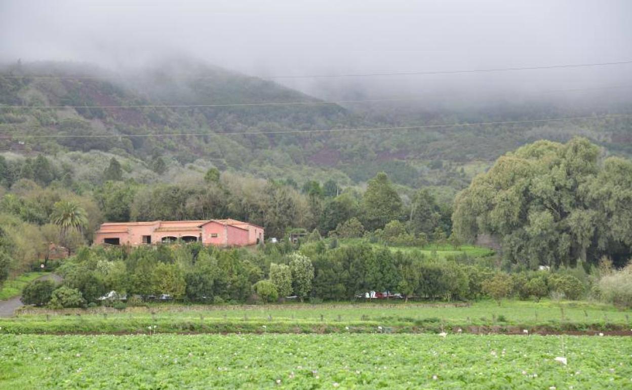 Imagen de archivo de la Finca de Osorio, en Teror. 