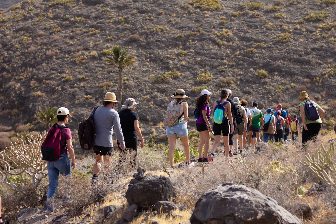 Fotos: Arrancó la 10ª edición del Bioagaete Cultural Solidario