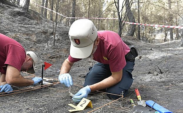 Los miembros de la brigada son agentes de la autoridad y ejercen como policía judicial. 