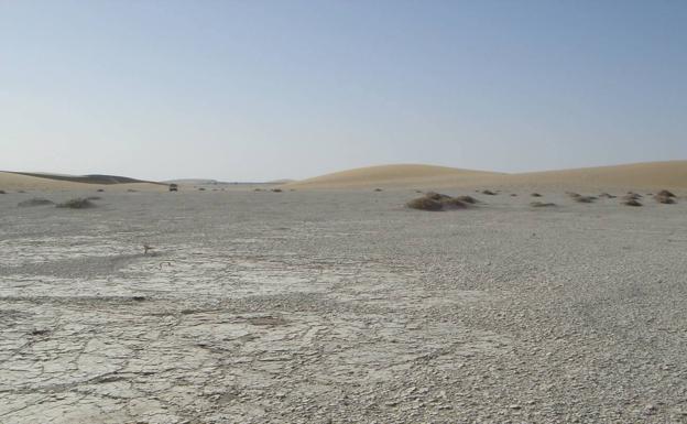 El desierto del Djurab, donde se encuentran los yacimientos de fósiles que dieron lugar a los restos postcraneales de 'Sahelanthropus tchadensis'. 