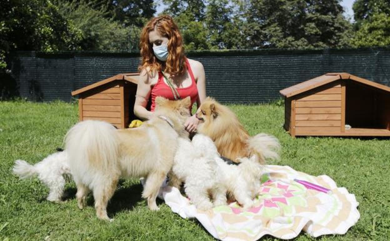 Cinco perros junto a su dueña. 