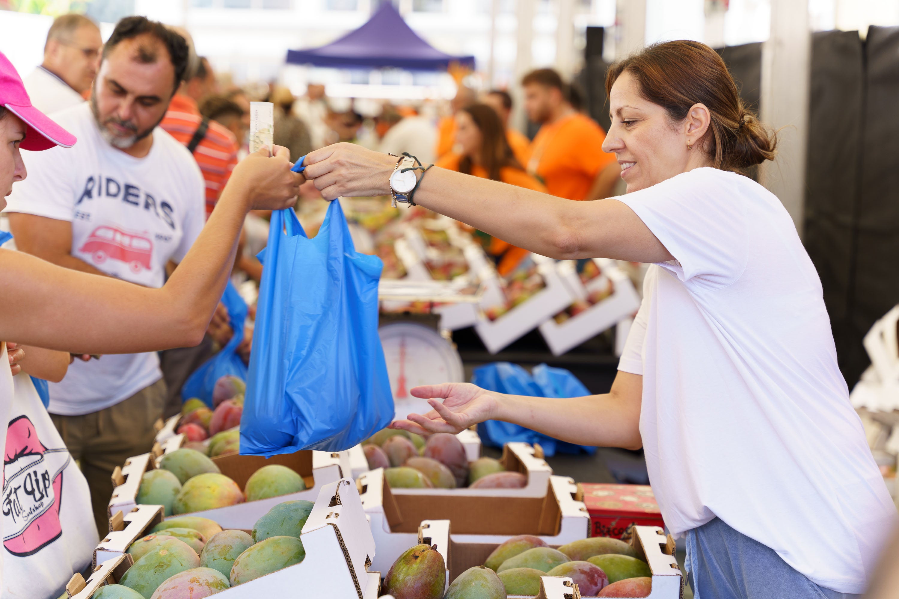 Fotos: Mogán celebra la V edición Feria del Mango y Aguacate de Verano