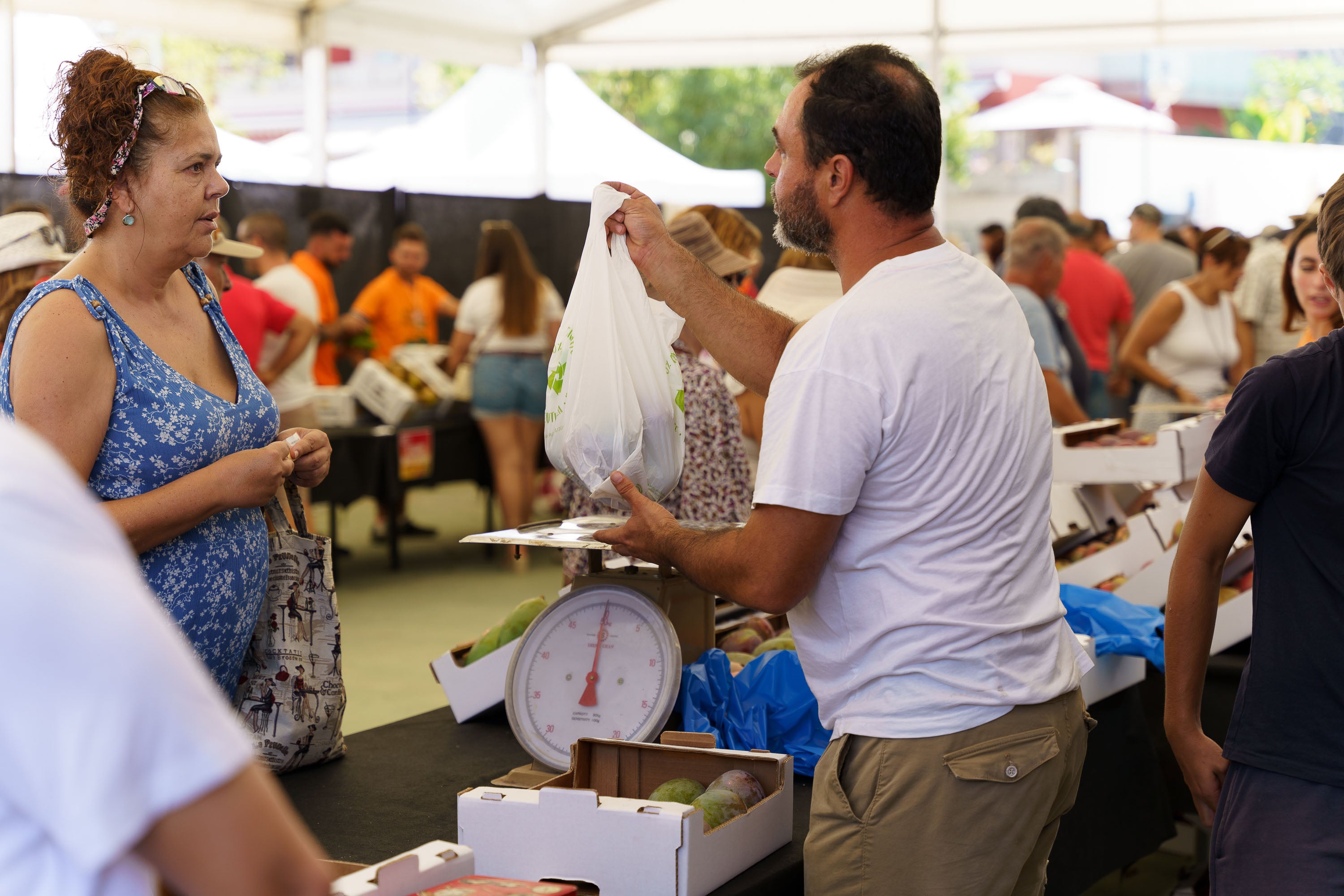 Fotos: Mogán celebra la V edición Feria del Mango y Aguacate de Verano