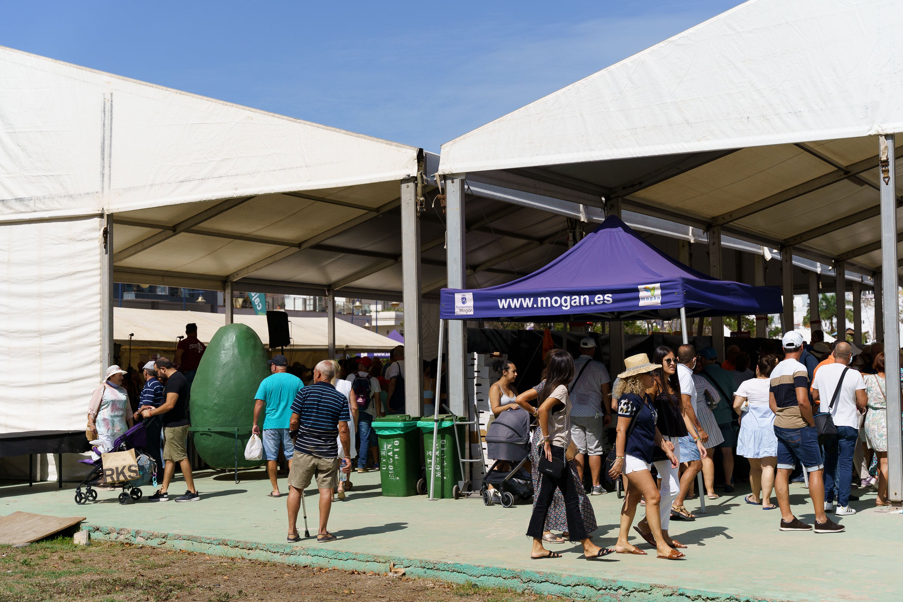 Fotos: Mogán celebra la V edición Feria del Mango y Aguacate de Verano