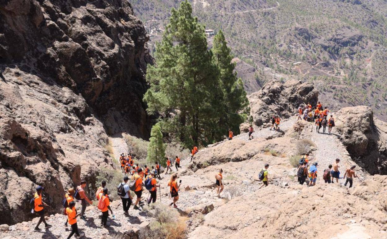 Un total de 133 personas participaron en la sexta edición del Camino de los Valores. 