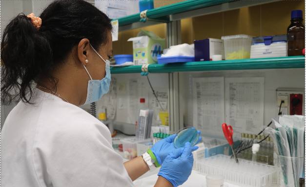 Sanidad notifica cinco casos de viruela del mono desde el martes