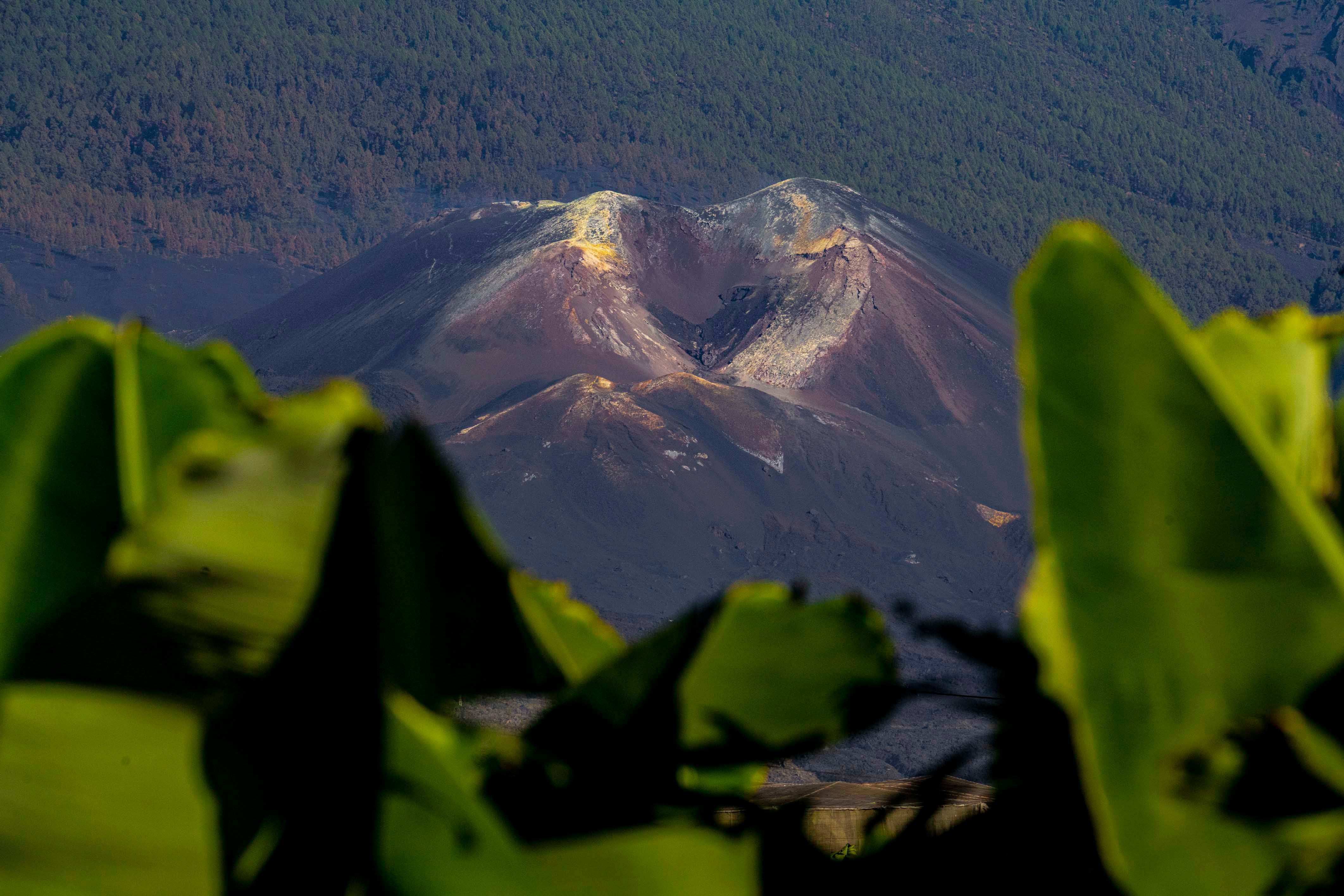 Fotos: Retrato de La Palma un año después de la erupción del volcán
