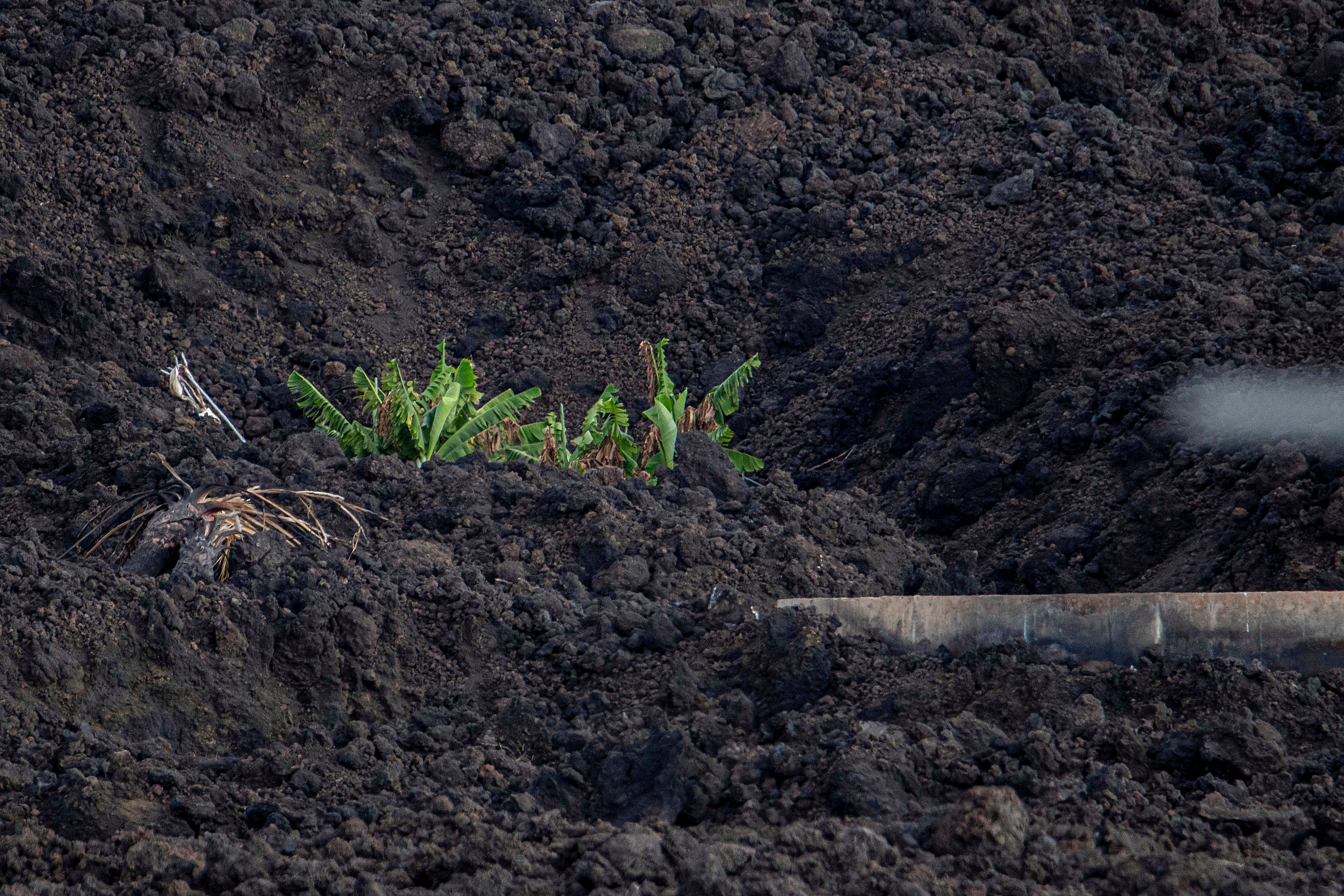 Fotos: Retrato de La Palma un año después de la erupción del volcán
