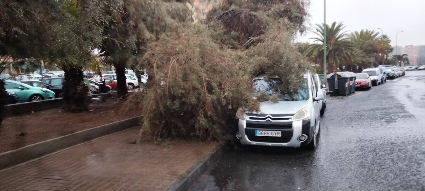 Imagen principal - Efectos de la tormenta en El Pilar y Guanarteme. 