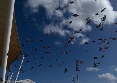 Imagen secundaria 1 - Una DANA dejará lluvias la próxima semana en Canarias