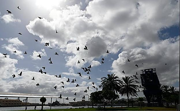 Imagen principal - Una DANA dejará lluvias la próxima semana en Canarias