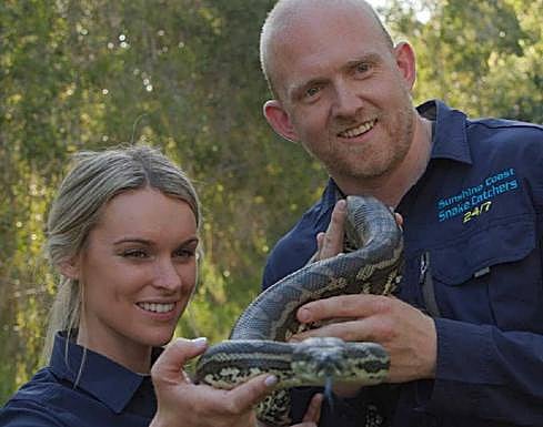 En Australia habitan diferentes especies de serpientes. 