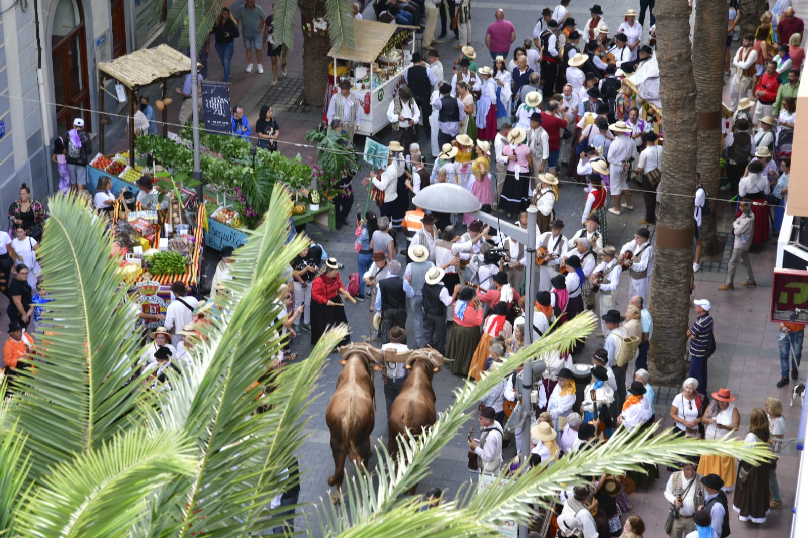 Fotos: Vuelve la romeria de La Nava