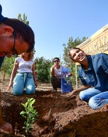 Imagen secundaria 2 - El &#039;bosque Granca&#039; empieza a florecer