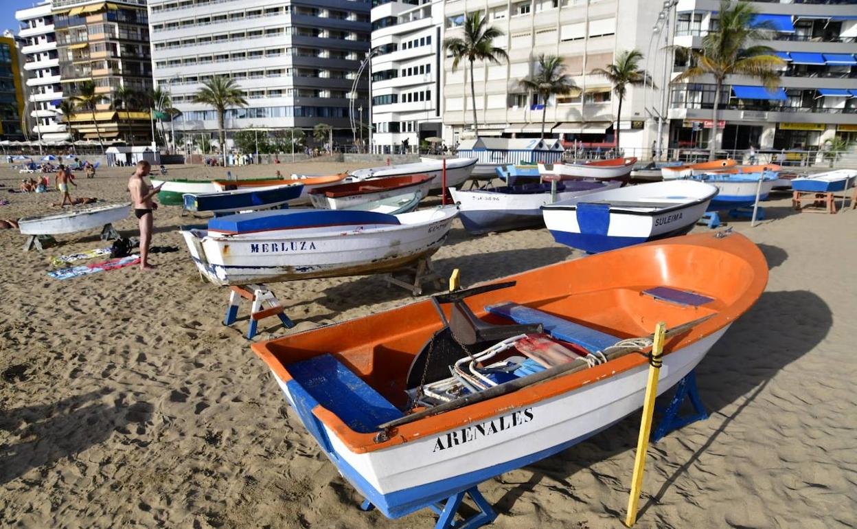 La mayoría ya están en su emplazamiento provisional, a la altura de la calle Tenerife. 