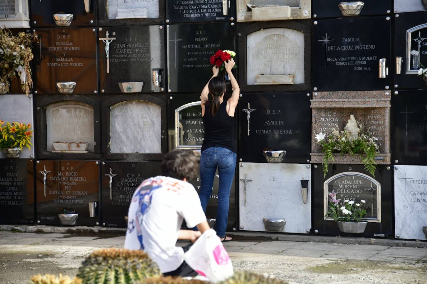 Fotos: Las flores se adueñan de los cementerios